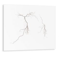 Linien No.40