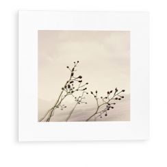Flowers 04
