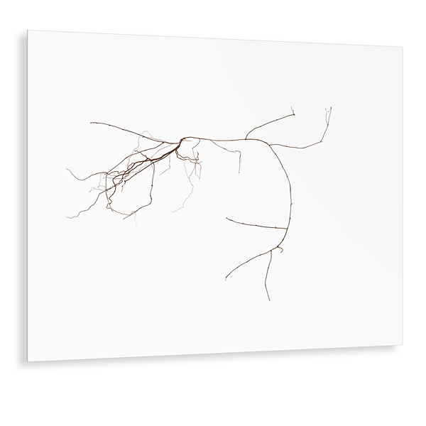 Linien No.14
