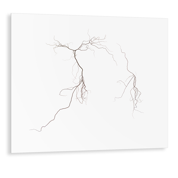 Linien No.40